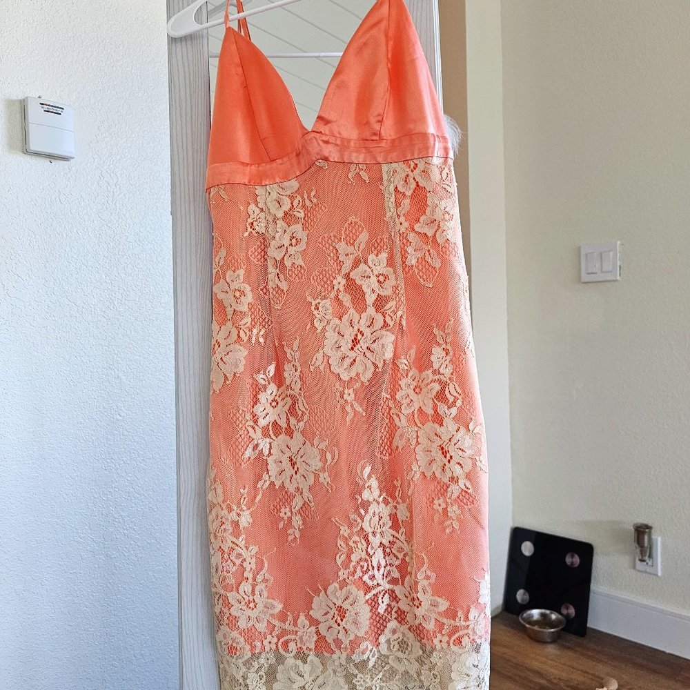 WAYF Lace/Silk Slip Dress